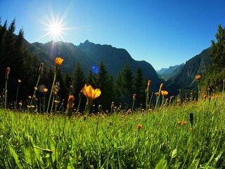 Appartement Oetz Omgeving 30