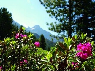 Apartment Oetz Umgebung 22