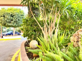 Appartement Torremolinos Buitenaudio-opname 8