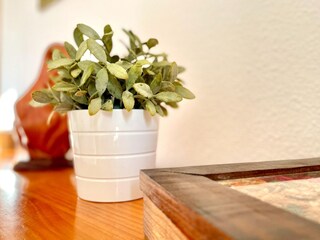 Appartement Torremolinos Équipement 15