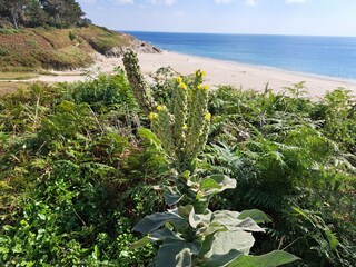 Maison de vacances Névez Environnement 33