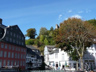 Apartamento de vacaciones Monschau Entorno 20