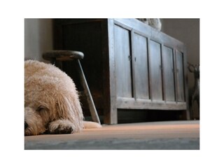 Casa per le vacanze Schmallenberg Registrazione all'aperto 18