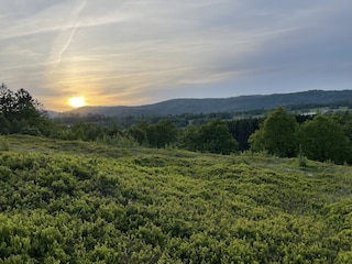 Natur pur direkt vor der Haustür