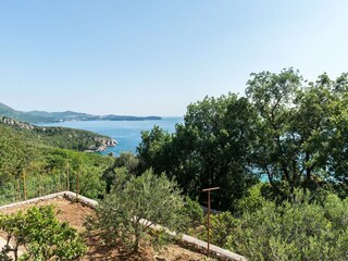 Appartement Mlini  23