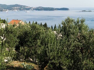 Appartement Mlini  20