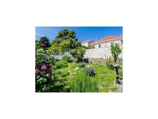 Ferienhaus Mlini Außenaufnahme 8