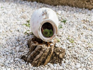 Casa de vacaciones Mlini Grabación al aire libre 5