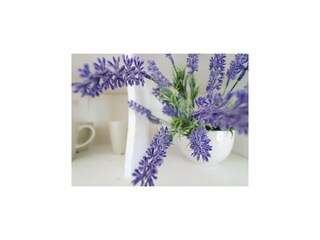 Appartement Klek  30