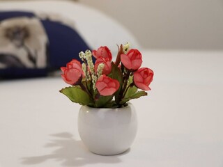 Appartamento Trpanj  22