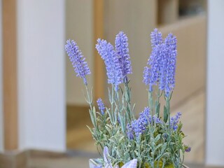 Apartment Trpanj Außenaufnahme 4