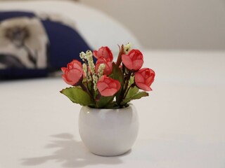 Apartamento Trpanj  20