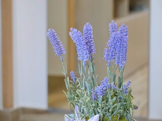 Appartement Trpanj Buitenaudio-opname 4
