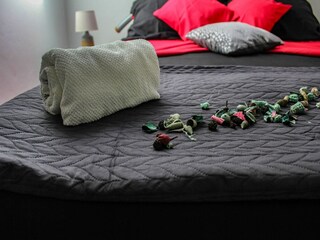 Apartamento Povljana Características 11