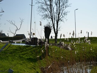 Parc de vacances Oost-Graftdijk Environnement 10
