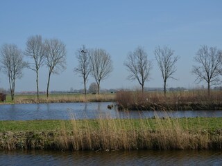 Parc de vacances Oost-Graftdijk Environnement 13