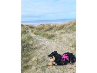 Ferienhaus Glatigny Umgebung 25