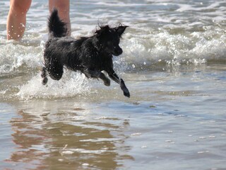 Ferienhaus Glatigny Umgebung 40