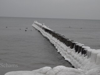 Zingst im Winter