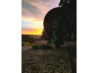 Old barrel for playing