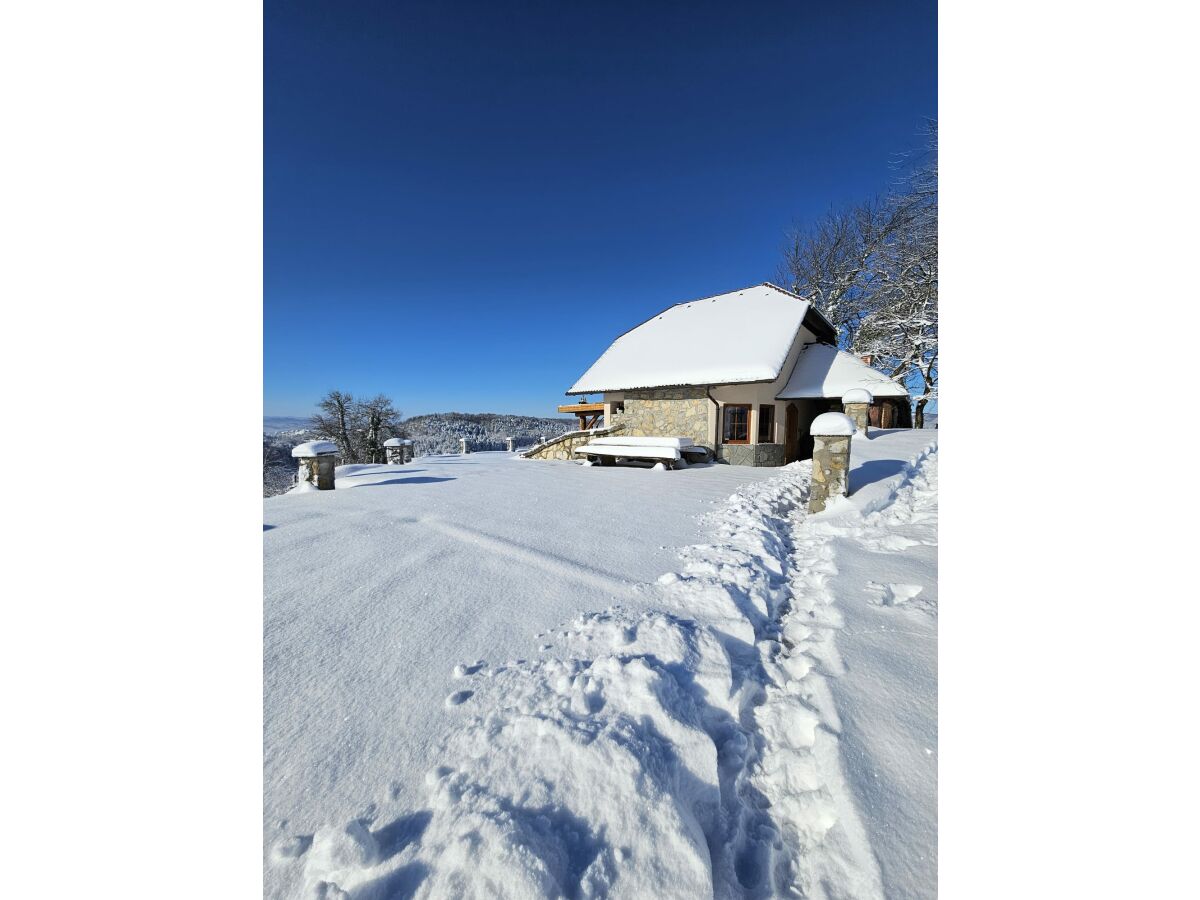 Vineyard house in winter