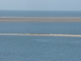 Appartamento per vacanze Borkum Ambiente 26