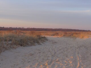 Appartamento per vacanze Borkum Ambiente 28