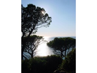 Ferienwohnung Cavalaire-sur-Mer  39