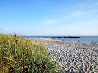 Casa de vacaciones Schönberg-Kalifornien Grabación al aire libre 4