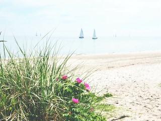 Strandabschnitt vor der Tür...