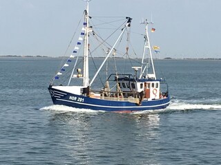 Appartamento per vacanze Norddeich Registrazione all'aperto 8