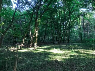 Appartamento Birlenbach Ambiente 34