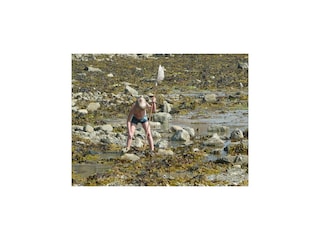 Maison de vacances Plougoulm Environnement 28