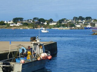 Casa de vacaciones Plougoulm Entorno 24