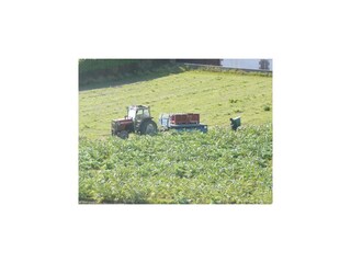 Holiday house Plougoulm Environment 31