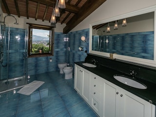 Type de propriété : Chalet Ortignano Raggiolo Équipement 20