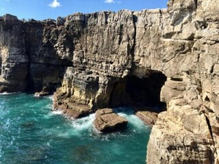 Type de propriété : Chalet Ortignano Raggiolo Environnement 38