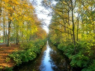 Casa per le vacanze Ruigahuizen Ambiente 31