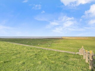 Vakantiehuis Ruigahuizen Omgeving 50