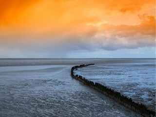Ferienhaus Ruigahuizen Umgebung 40