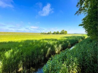 Casa per le vacanze Ruigahuizen Ambiente 23