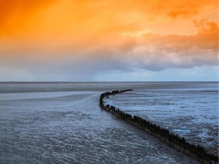 Casa de vacaciones Ruigahuizen Entorno 38