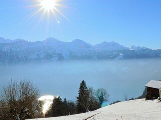Ueber dem Nebel