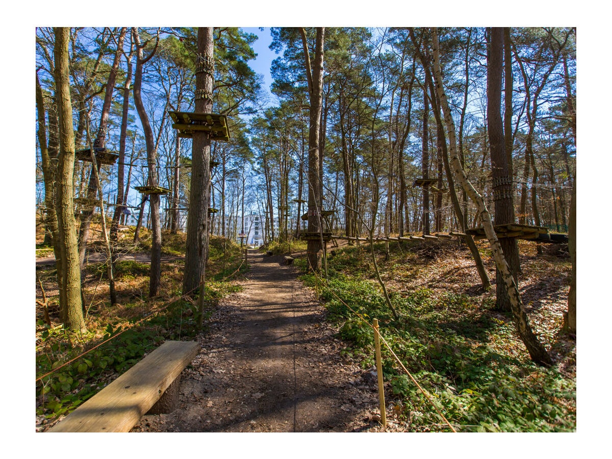 Kletterwald in Prora