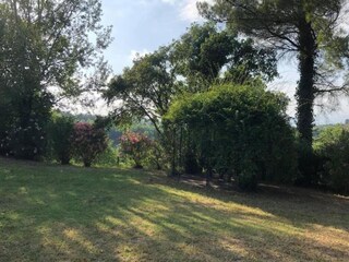 Vakantiehuisje Lari Omgeving 33