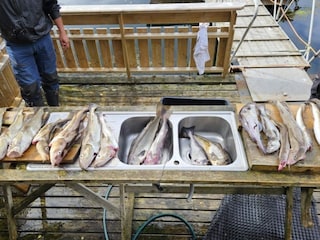 Holiday house Welt  14