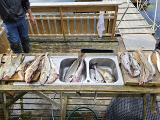 Vakantiehuis Welt  13