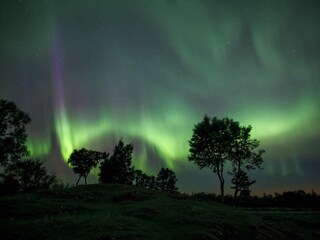 Vakantiehuis Welt  5