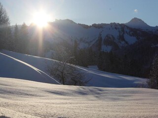 Appartamento Hittisau Ambiente 31