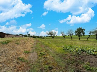 Apartamento Halle Entorno 38